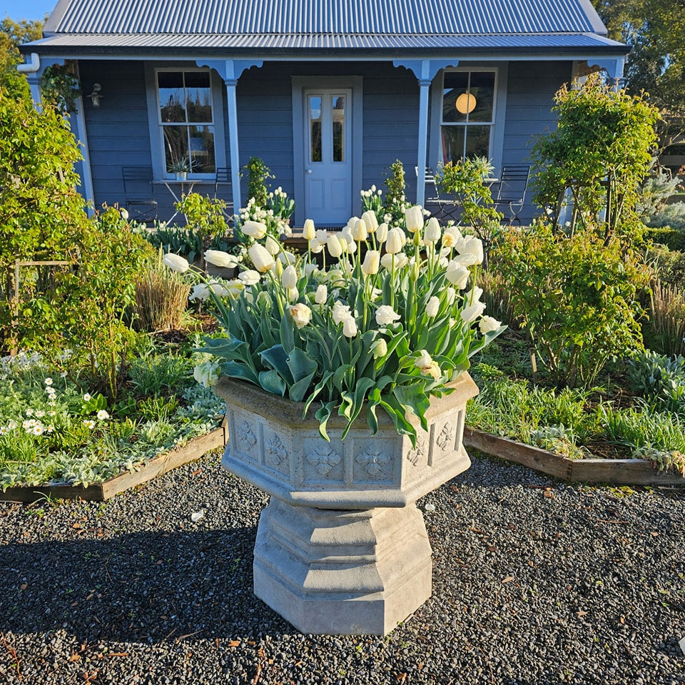 This Summer you could explore the gardens of the Wairarapa